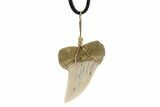 Fossil Mako Tooth Necklace - Bakersfield, California #95246-1